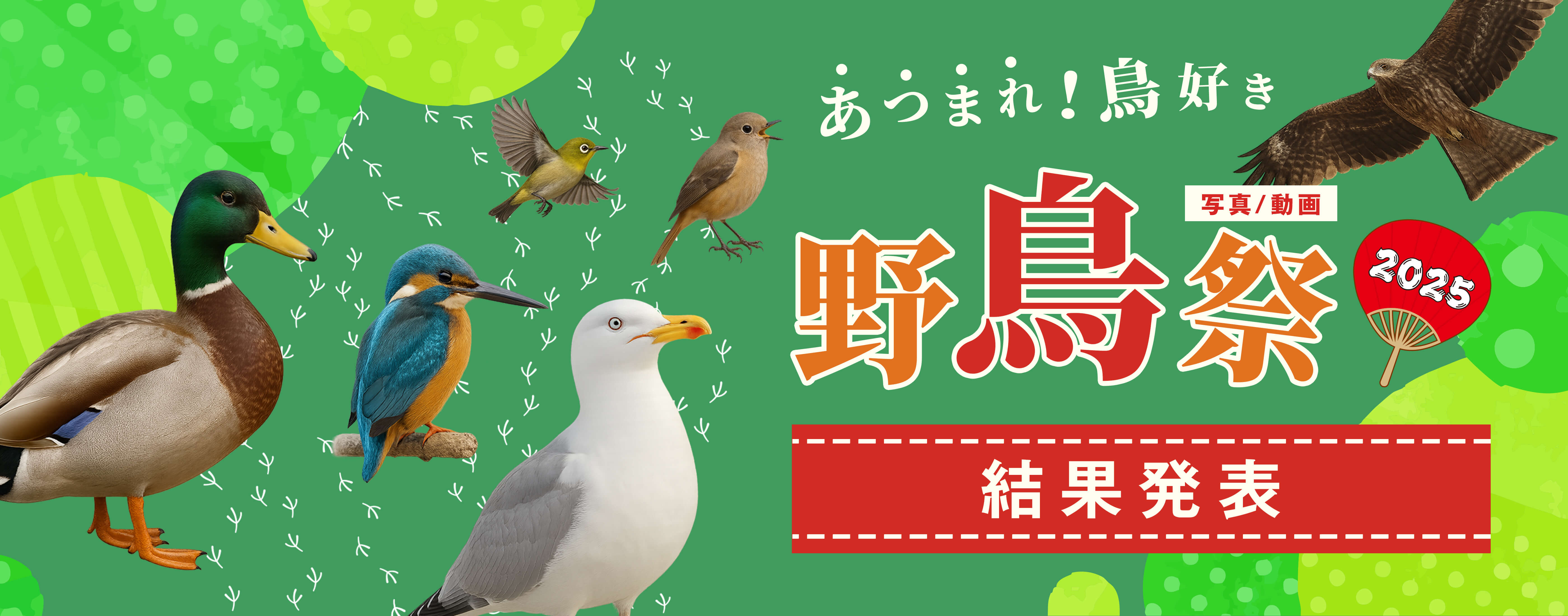 αcafe あつまれ！鳥好き 野鳥祭2025 結果発表