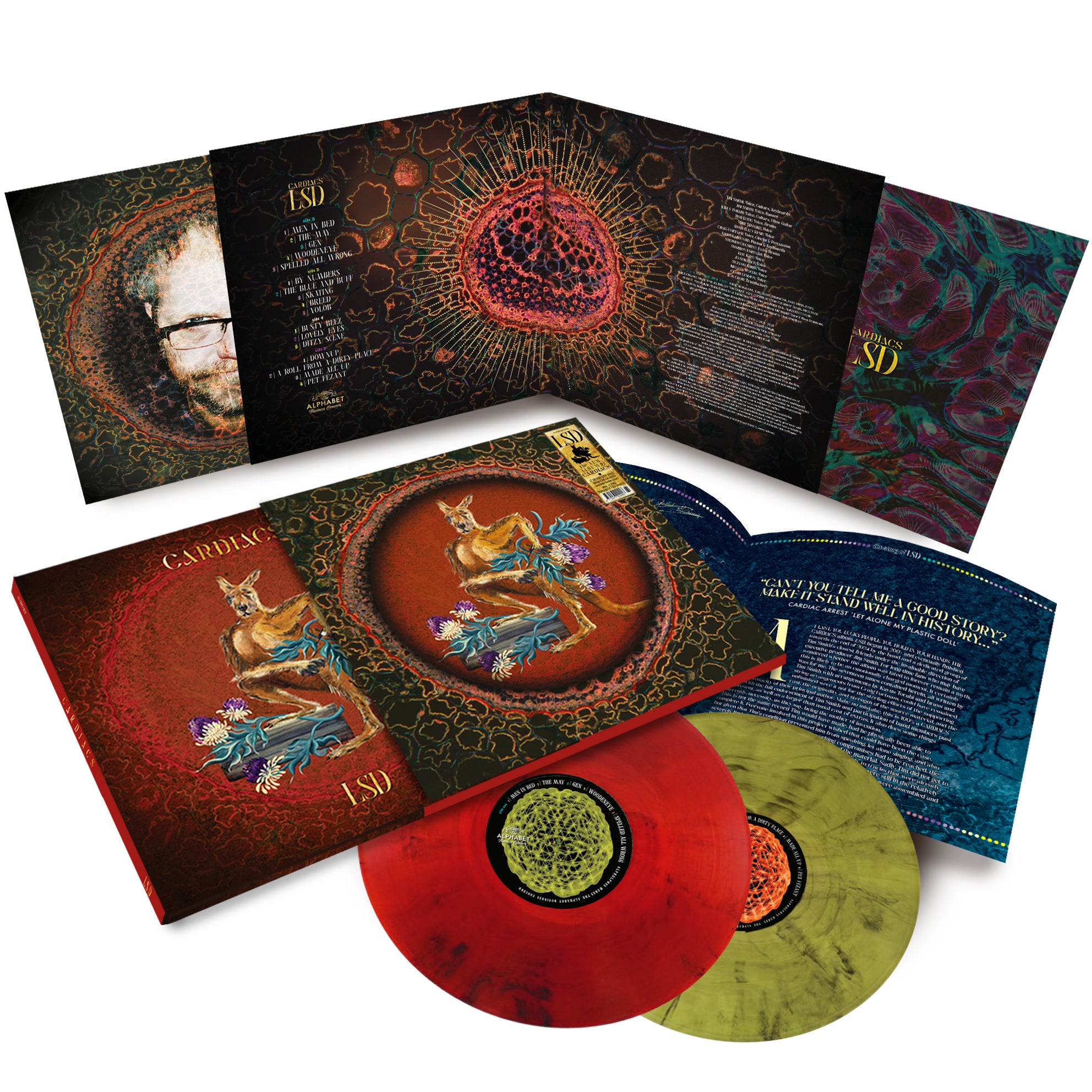 LSD: LYSERGIC MARSUPIAL Deluxe Double Vinyl – The Consultant's