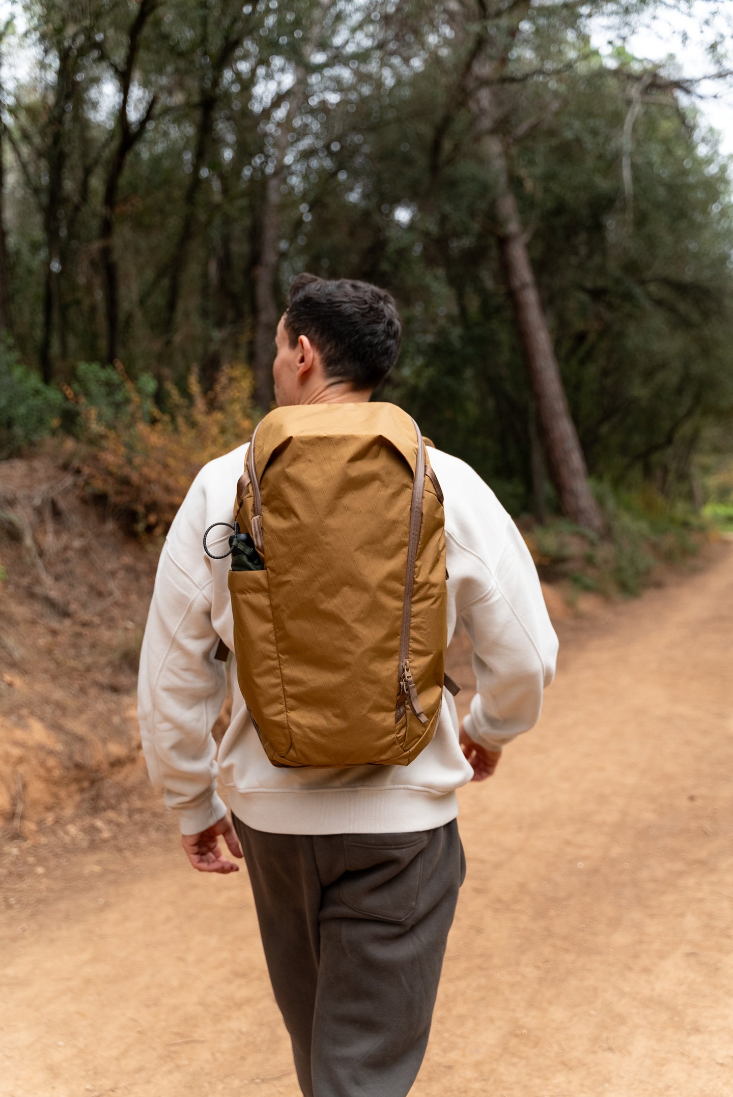 Coyote Brown – Able Carry (JP)