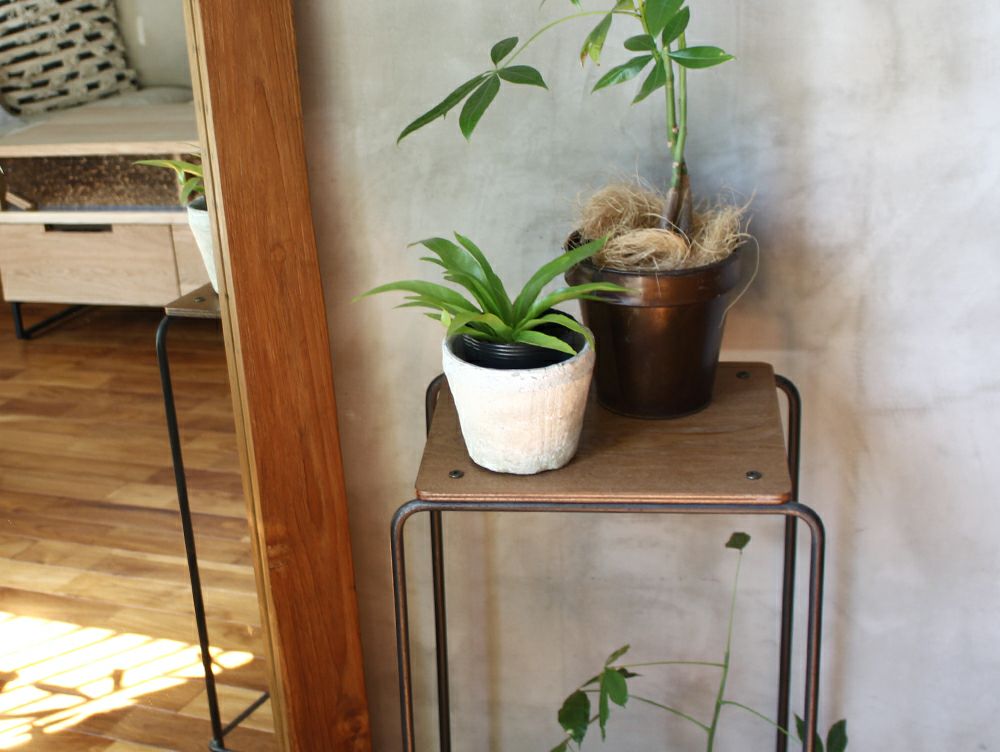 ソコフ スクール ハイ スツール - a.depeche(アデペシュ)