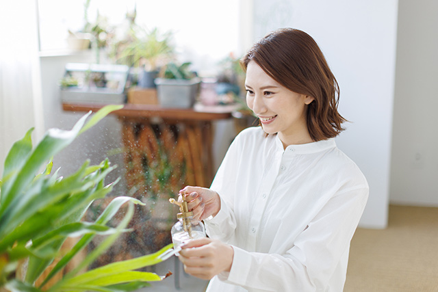 初心者向け】観葉植物の室内での育て方！水やり頻度や置く場所は