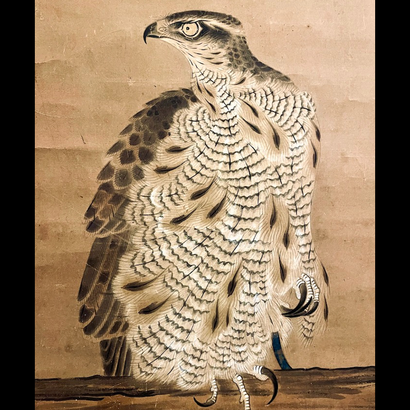 曽我直庵 “架鷹図” 紙本 着色 近藤東来箱書 / Soga Chokuan “Tethered