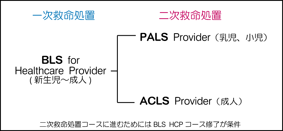 小児二次救命処置 PALSコース: AHA-BLSインストラクター日記