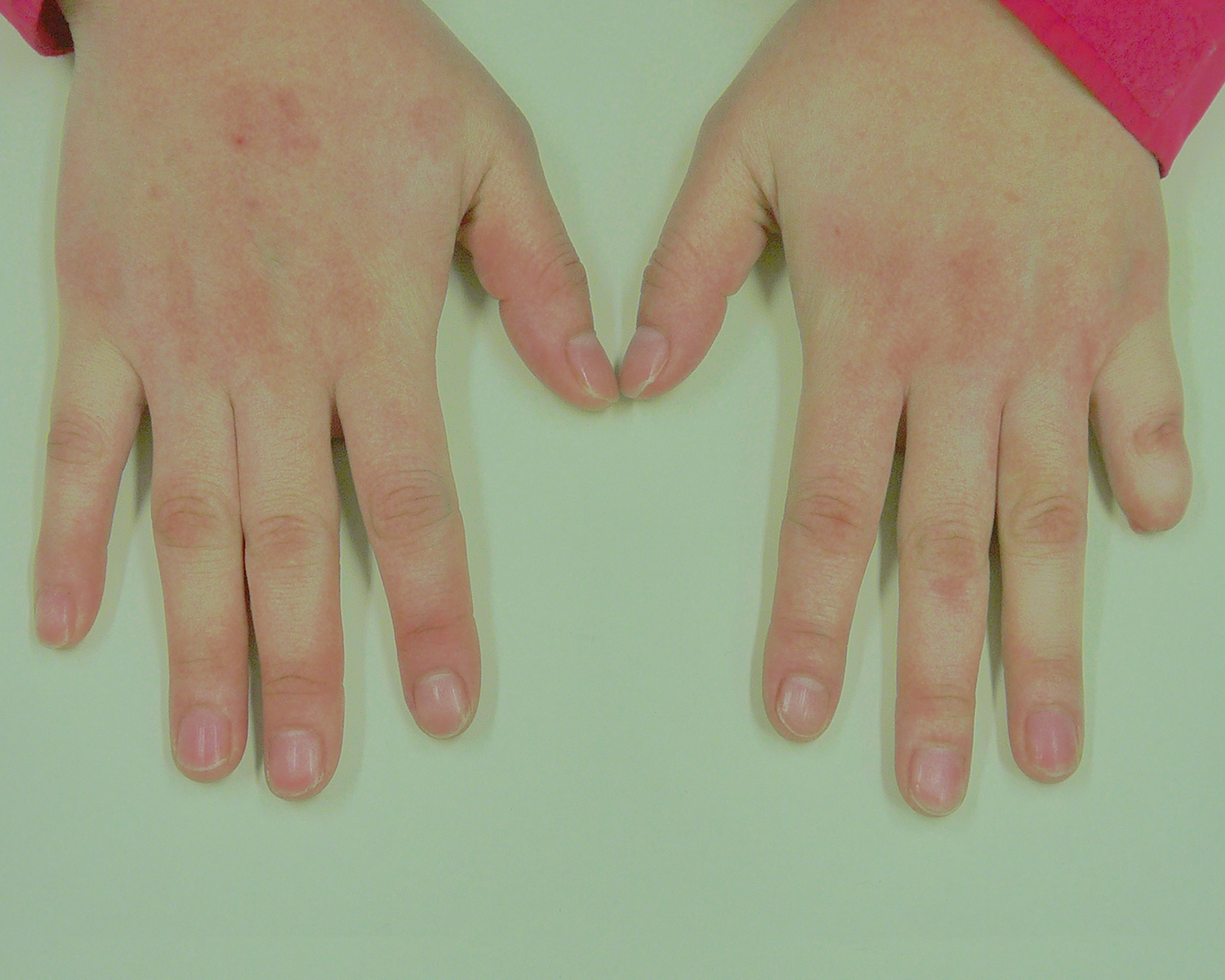 製作事例｜株式会社アヘッドラボラトリーズ