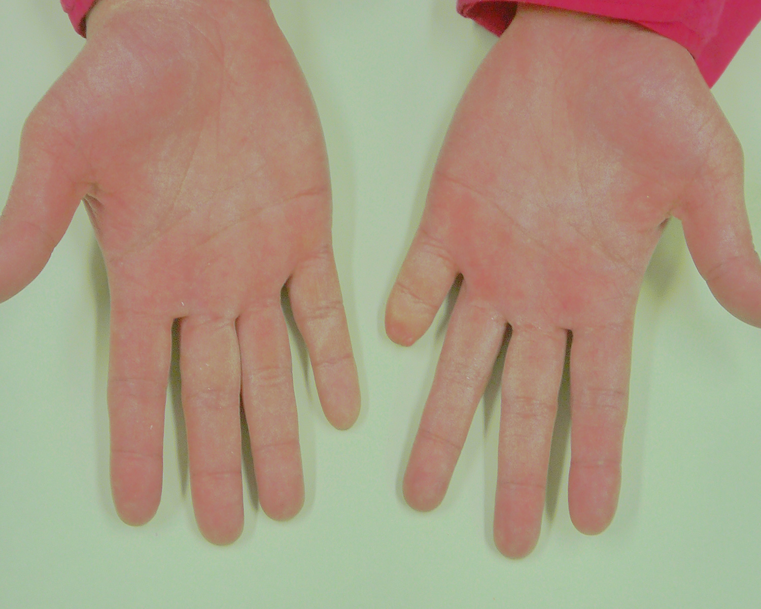 製作事例｜株式会社アヘッドラボラトリーズ