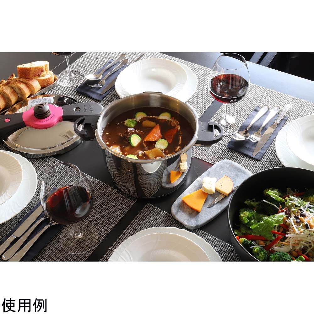 68-0718-27 魔法のクイック料理 両手圧力鍋 5.5L ZQDA55 【AXEL】 アズワン