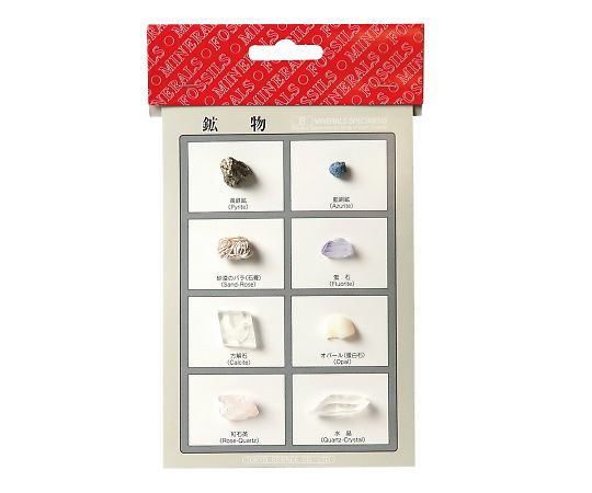 3-655-02 鉱物標本（鉱物標本8種） 【AXEL】 アズワン