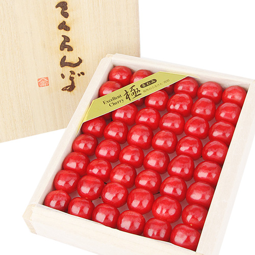 さくらんぼ 佐藤錦 極 - アオイ農園