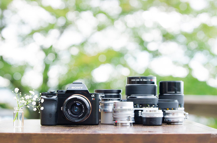 2026年版】フィルム写真家が選ぶ！初心者向けおすすめオールドレンズTOP 5