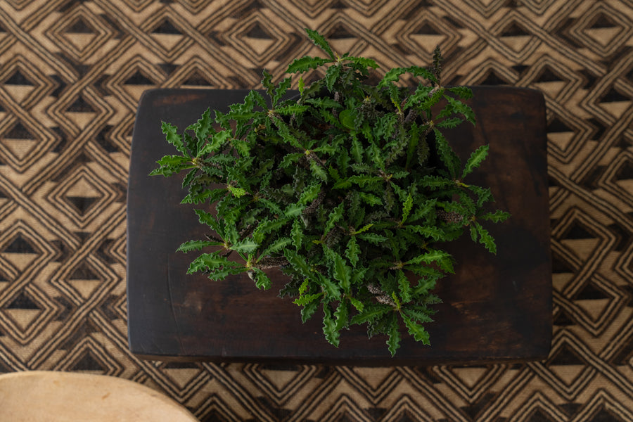 アフリカ産 セヌフォスツール】アフリカスツール-ヴィンテージラグ専門