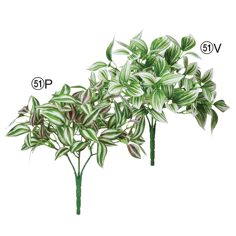 A-44653 トラディスカンティアブッシュ | アン・デコールオンライン