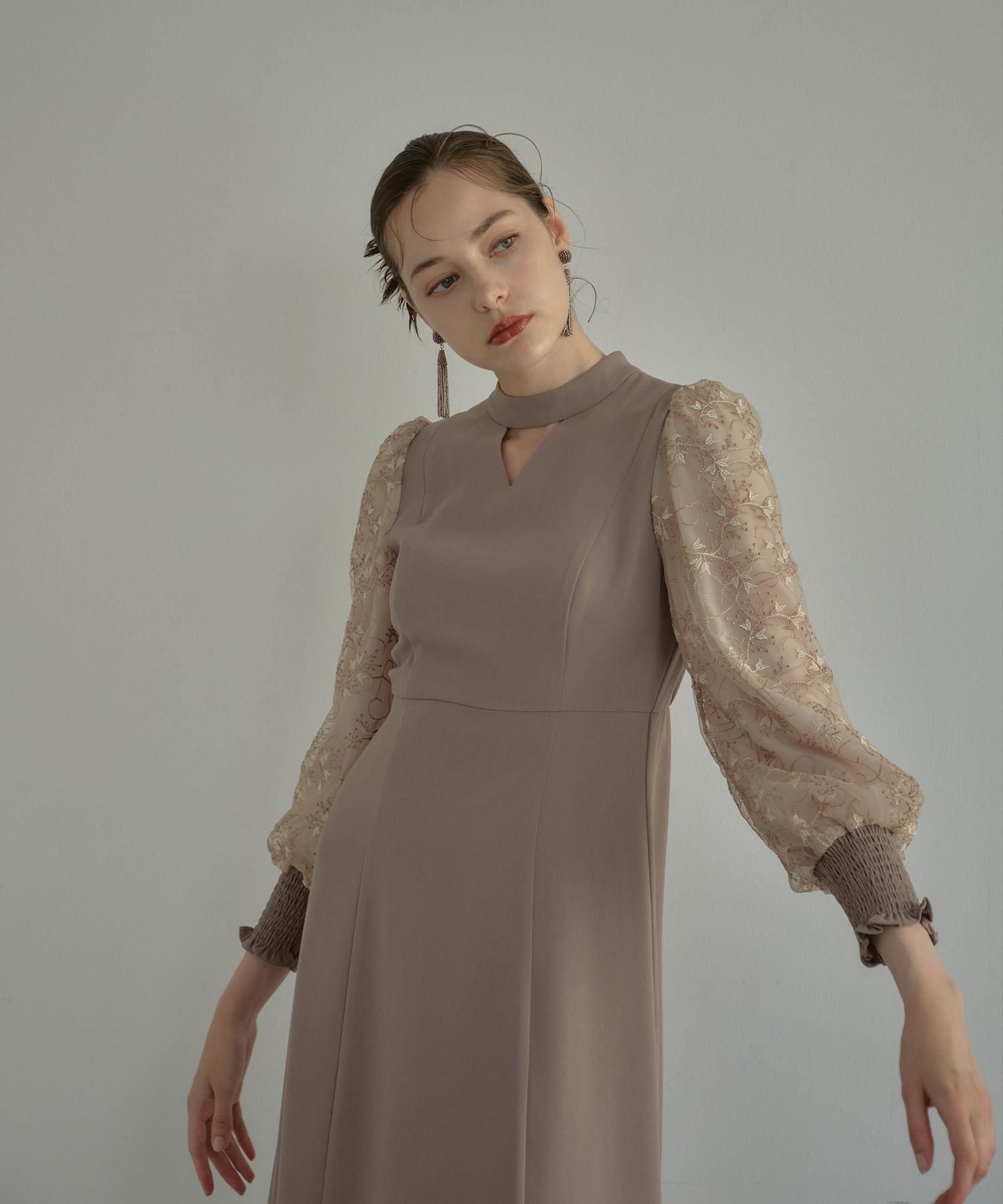 sleeve embroidery dress | ANDRESD