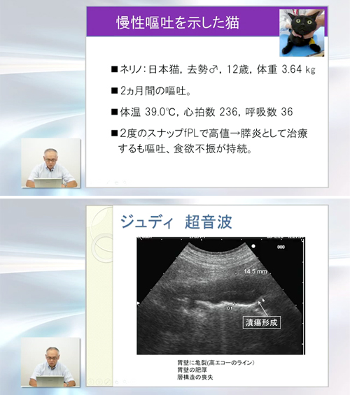 Dr.滝口の腹部エコー読影 エキスパートメソッド | 株式会社 医療情報研究所