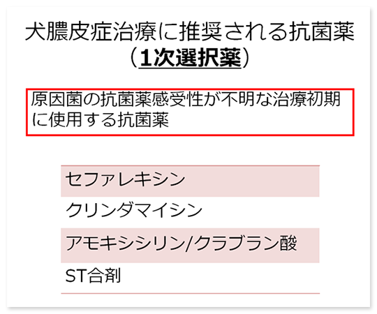 細菌感染症に対峙する！抗菌薬治療に欠かせない知識 | 株式会社 医療