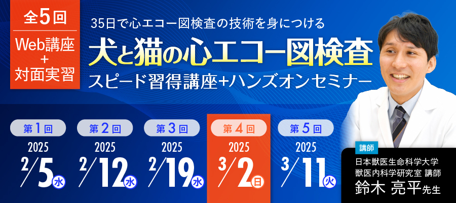 犬と猫の心エコー図検査スピード習得LIVE講座 | 株式会社 医療情報研究所