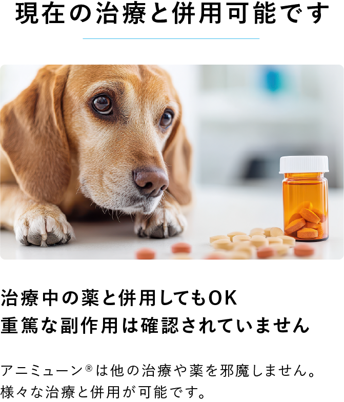 アニミューン®｜フアイア抽出 糖鎖TPG-1配合 動物医療機関専用品｜HACHI