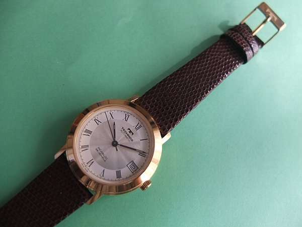 テクノス TECHNOS INCABLOC インカブロック 25石 自動巻 | アンティー