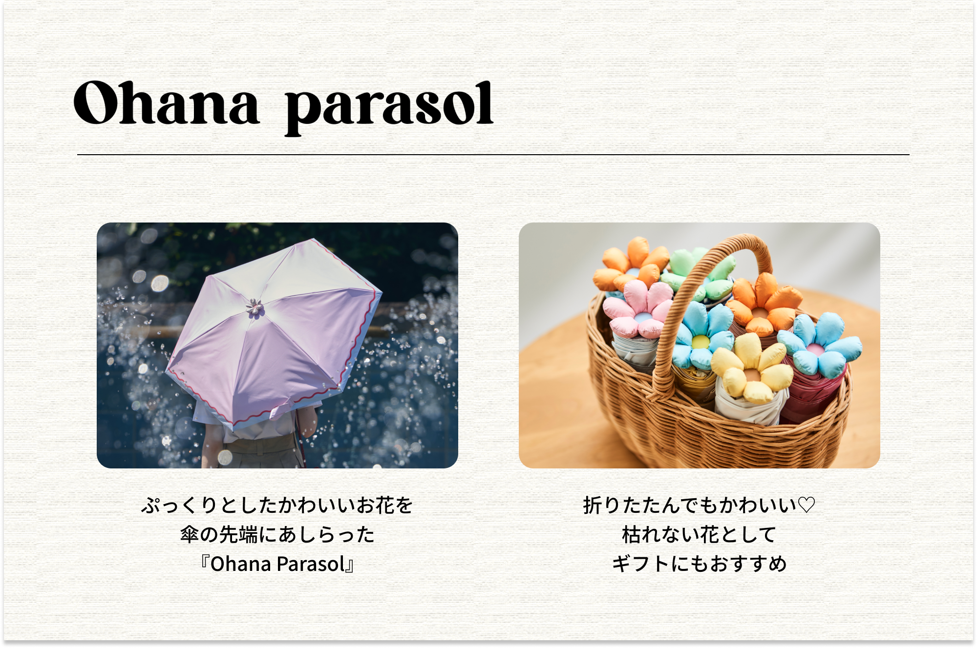 日傘 trompe 《Ohana Parasol》 折りたたみ傘 FW949 | ASCENTE Online