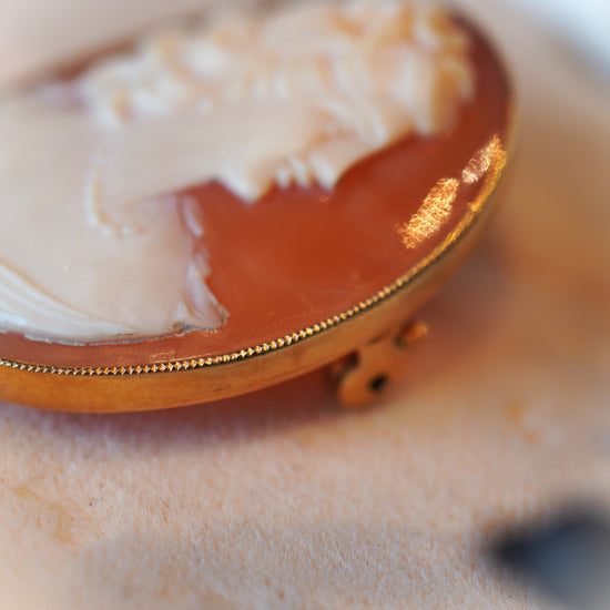 DSC09460_550x550.jpg?v=1726717388