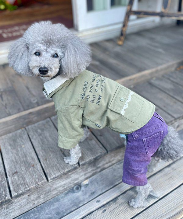 デワン | 愛犬とママ パパのお揃いコーデも取り扱う犬服通販サイト