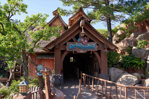 東京ディズニーランド「スプラッシュ・マウンテン」の記録を残したい