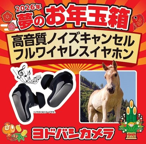 ヨドバシ福袋「2026年 夢のお年玉箱」抽選受付は本日11時59分まで