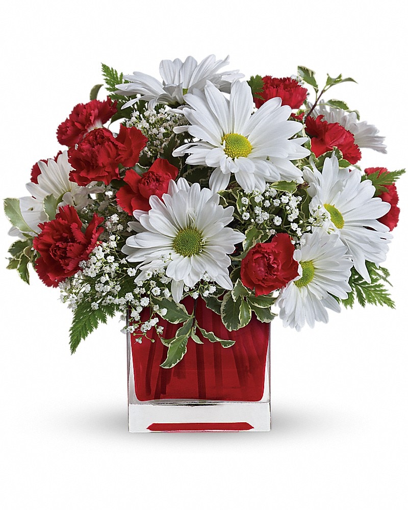 Red And White Delight by Teleflora in Spartanburg SC - Russ