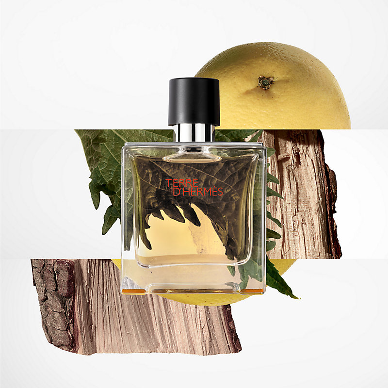 Terre d'Hermes Parfum - 75 ml | Hermès Canada