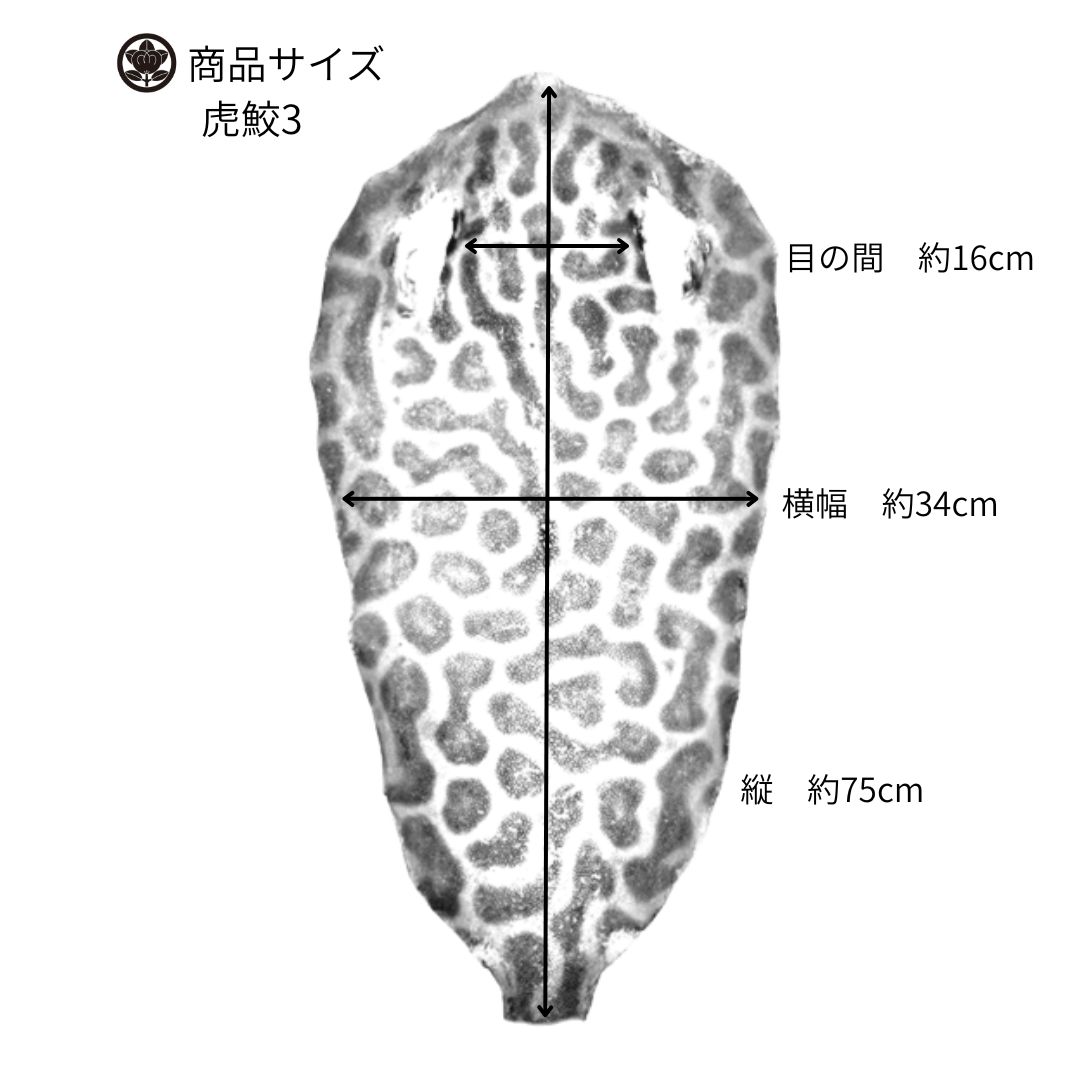 虎鮫③ 刀剣用 鮫鞘 鮫皮 エイ革 - メルカリ