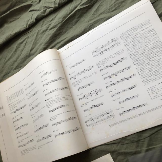 原信夫Collection 傷なし美盤 良ジャケ 国内盤 チッコリーニ Aldo