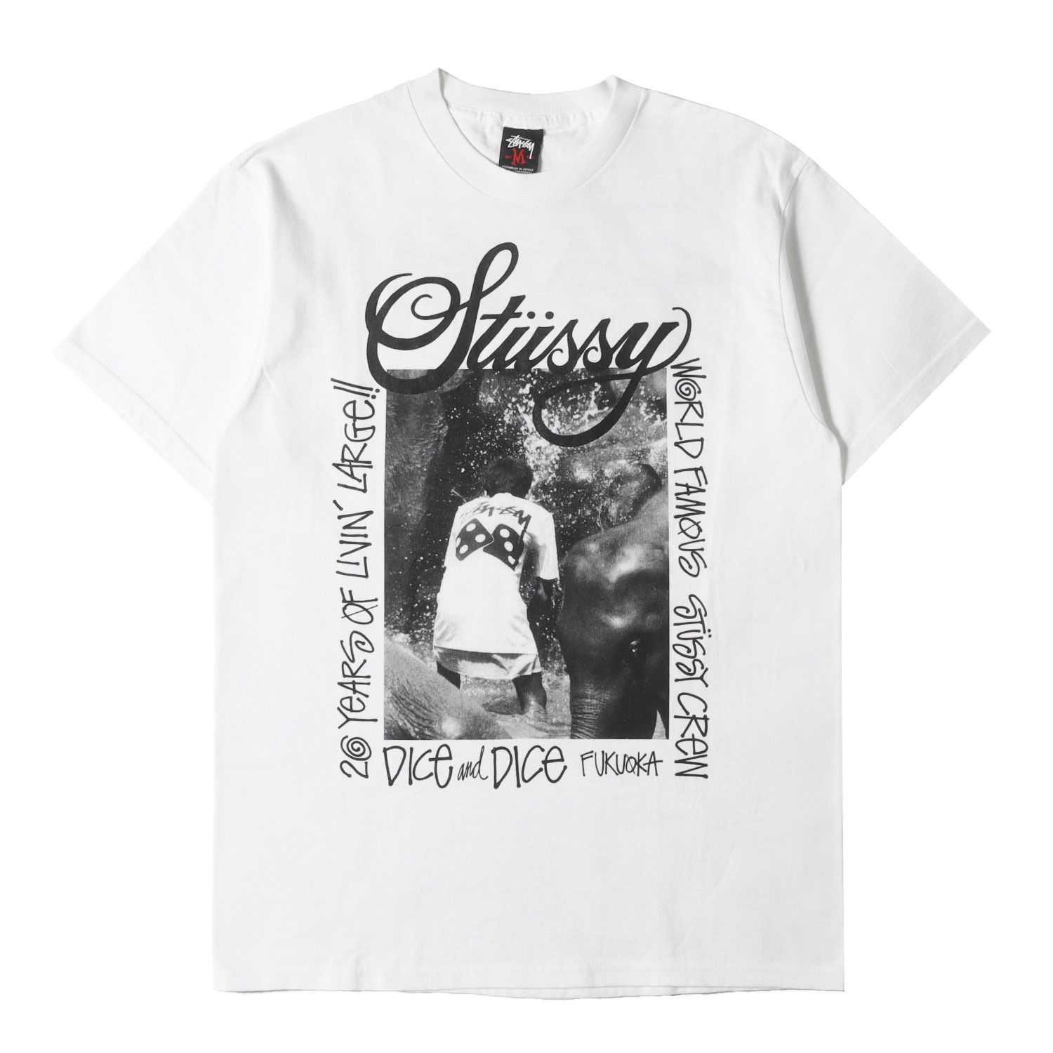 新品】STUSSY ステューシー Tシャツ サイズ:M / 00s Dice&Dice 20周年