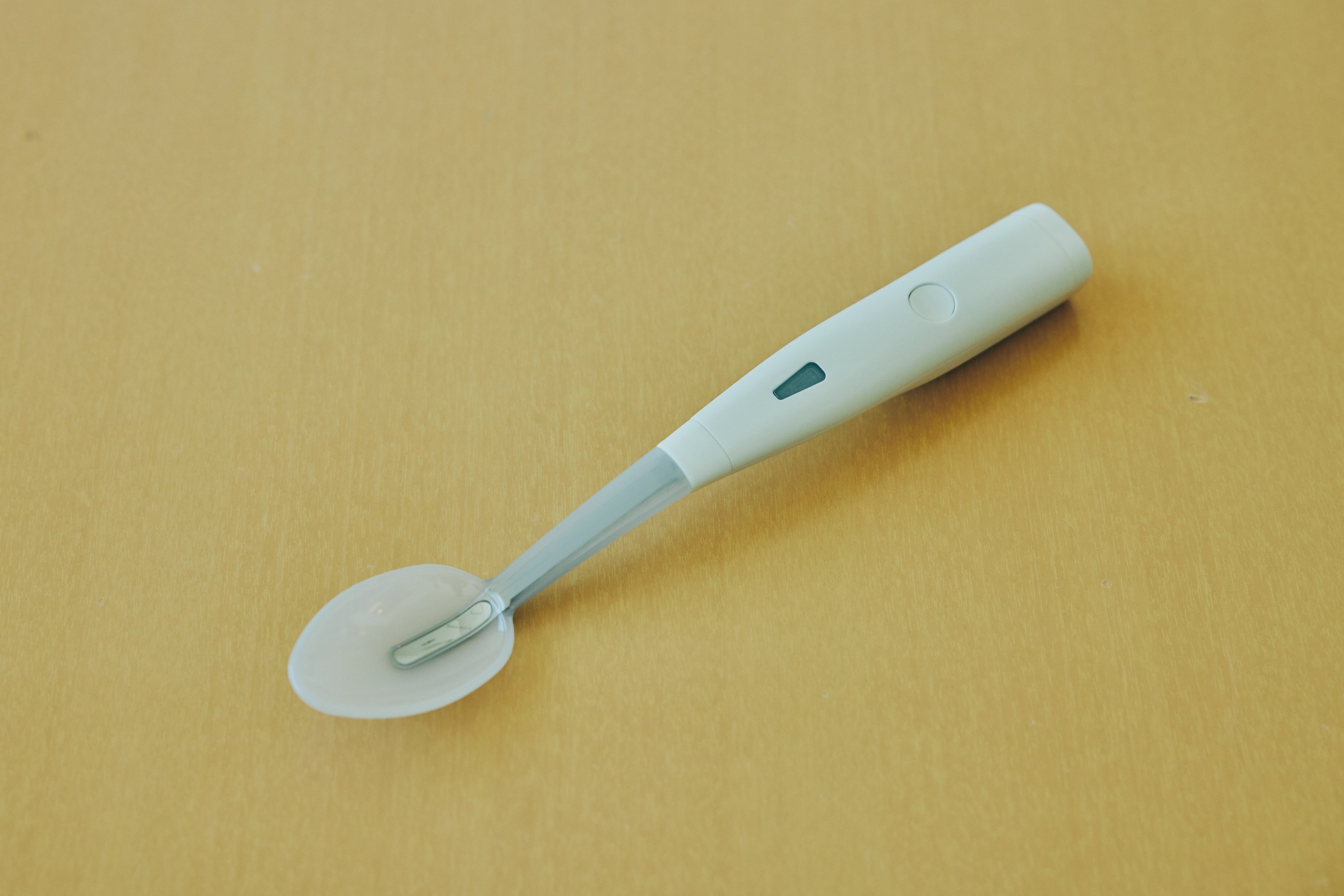 食の楽しみを広げていきたい。新規事業「エレキソルト」が提案する新た