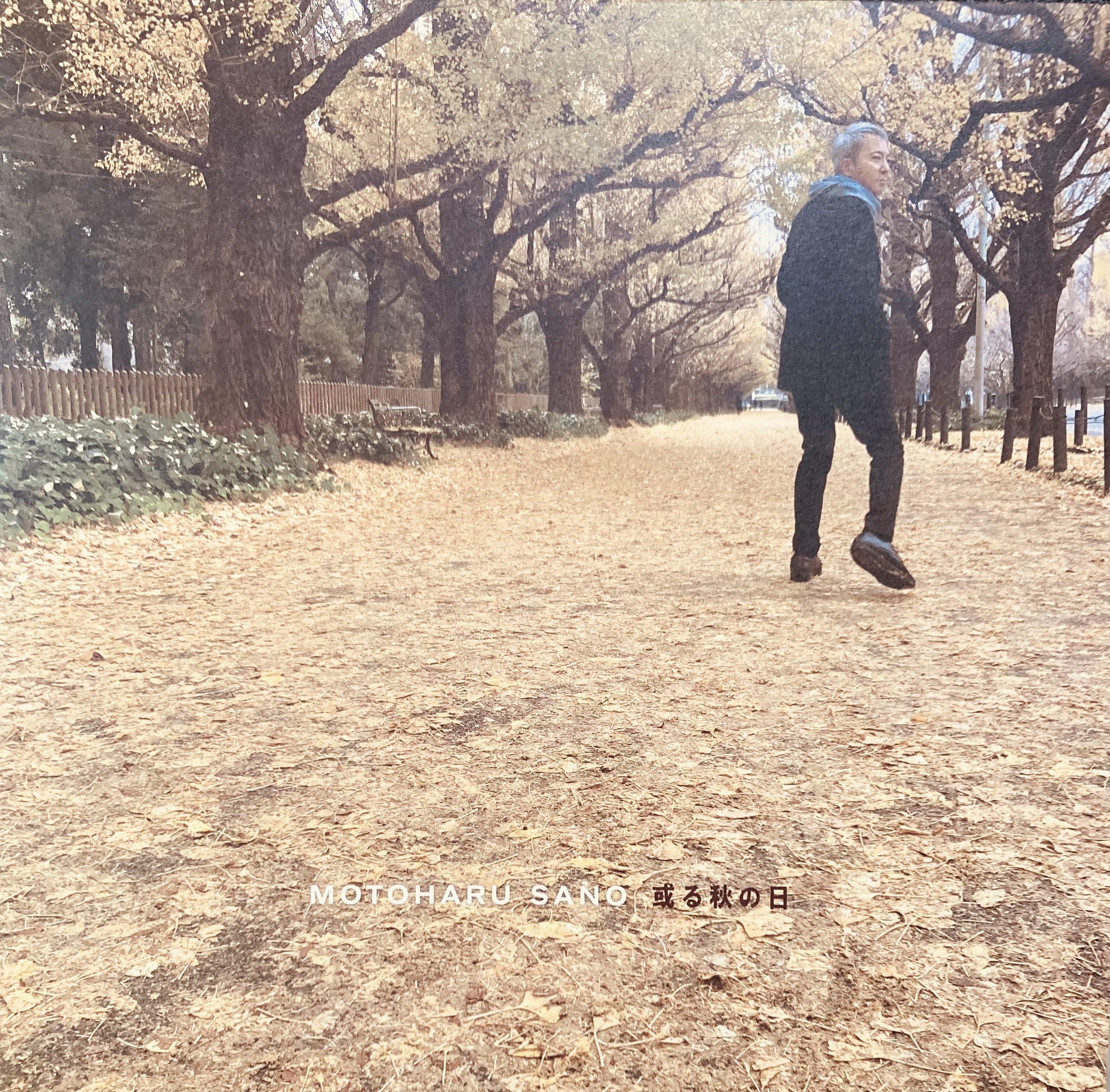 佐野元春 或る秋の日｜bluebeat