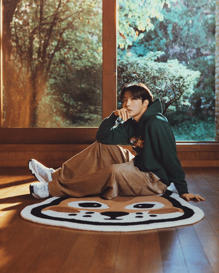 HUMAN HOPE CUSHION クッション j-hope HUMAN HOPE CUSHION】 RELEASE