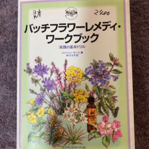 関連商品 | 商品カテゴリー | アロマテラピー西別府