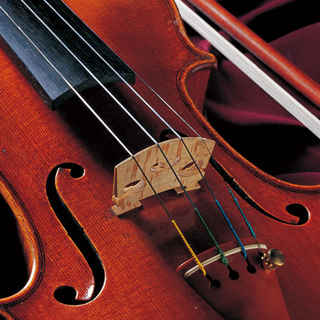 ピグマリウス スペチャリタ / ヴィオラ | アルシェ公式オンラインショップ