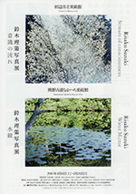 鈴木理策写真展「意識の流れ」：artscapeレビュー｜美術館・アート情報