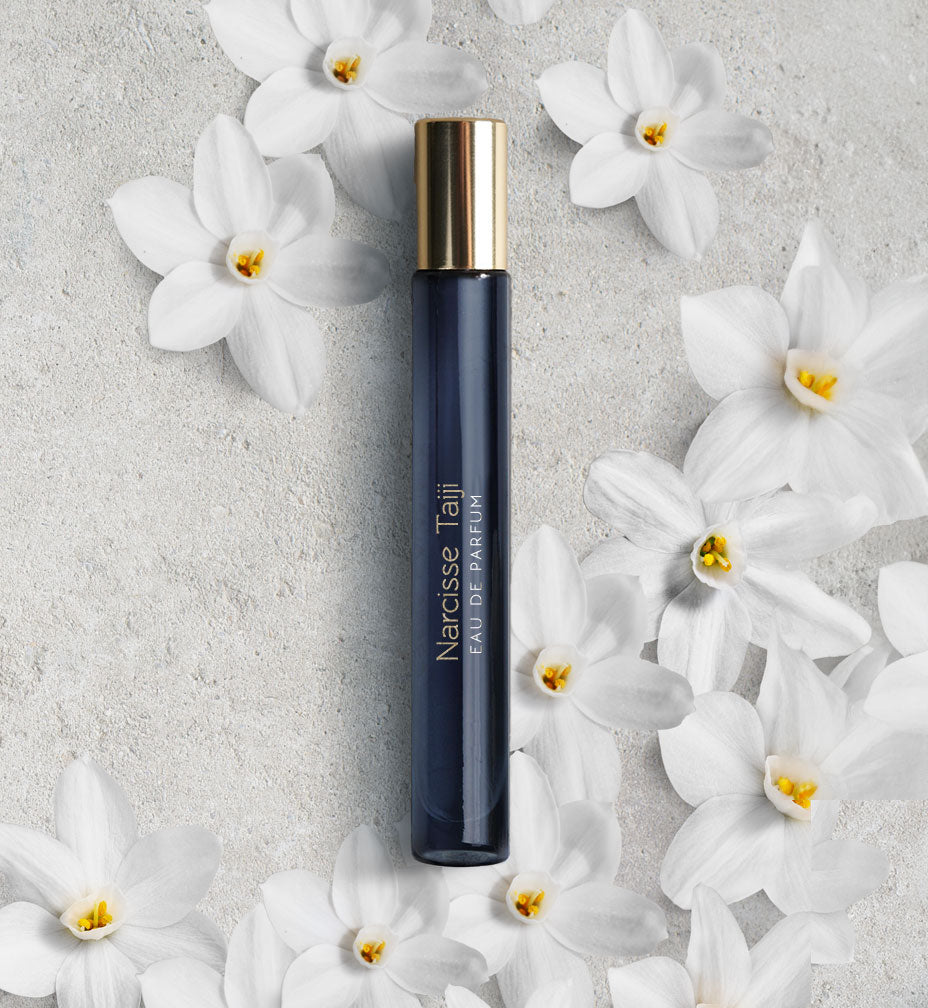 Narcisse Taiji（ナルシス タイジ） – ART EAU