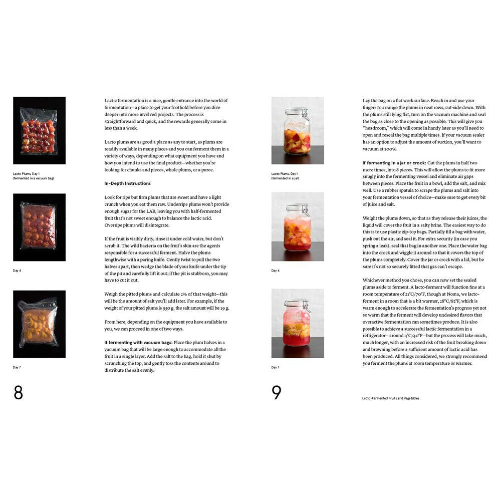 The Noma Guide to Fermentation – Atomic Books
