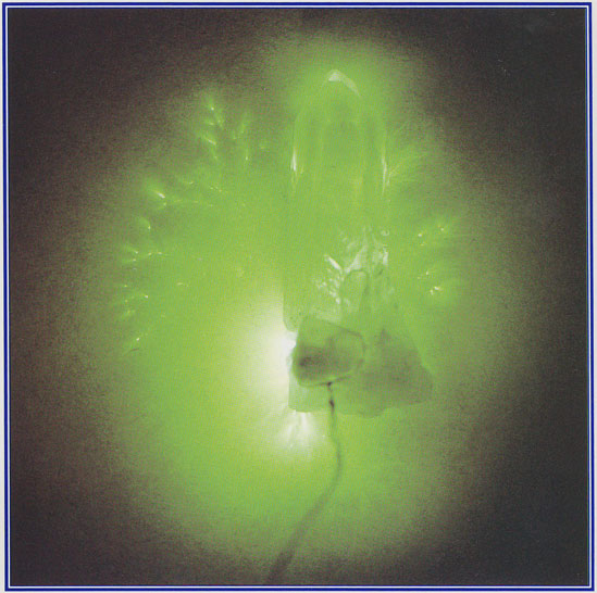 オーラソーマ カラーエッセンス CE08 グリーン