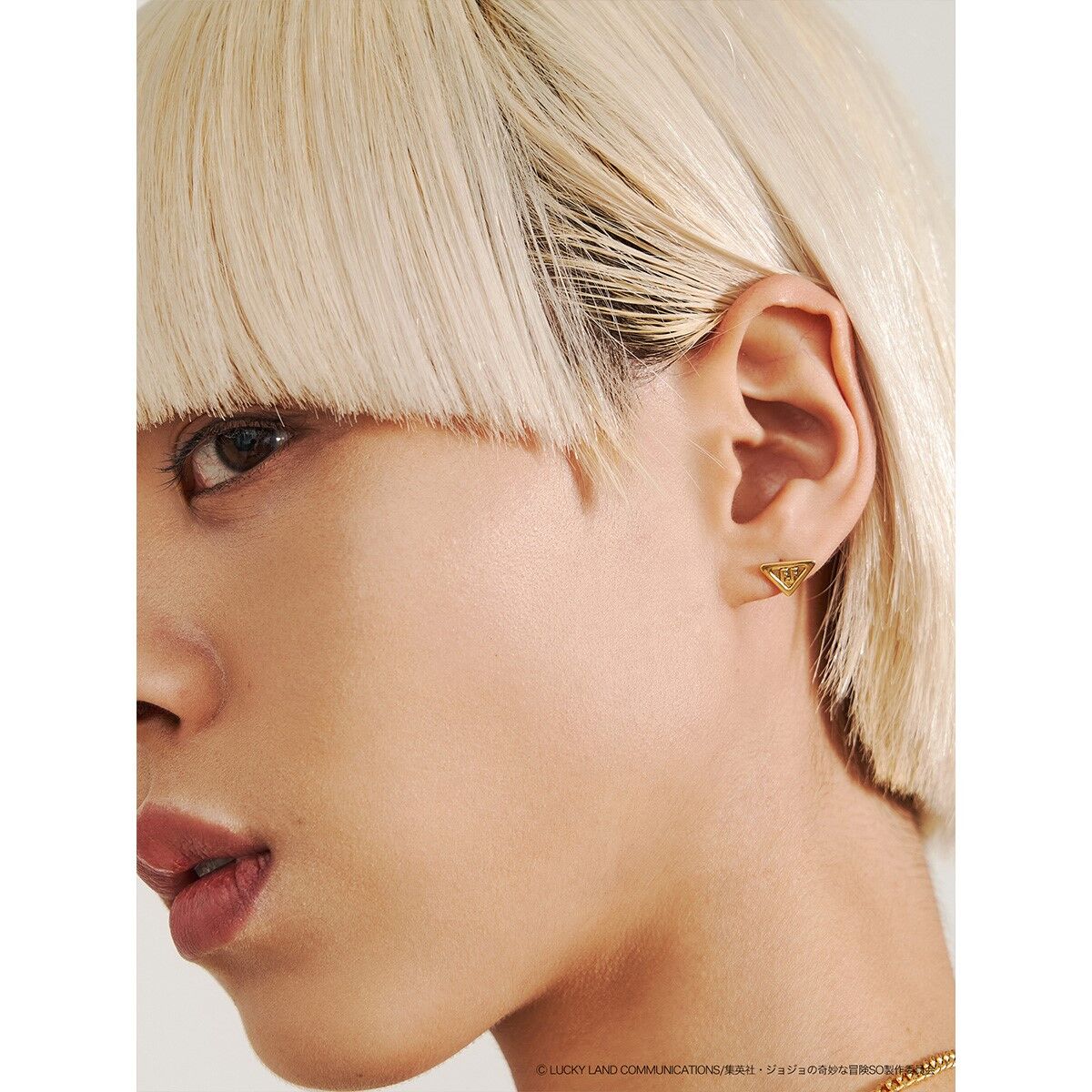 ジョジョの奇妙な冒険 ストーンオーシャン×PAMEO POSE】F・Fピアス