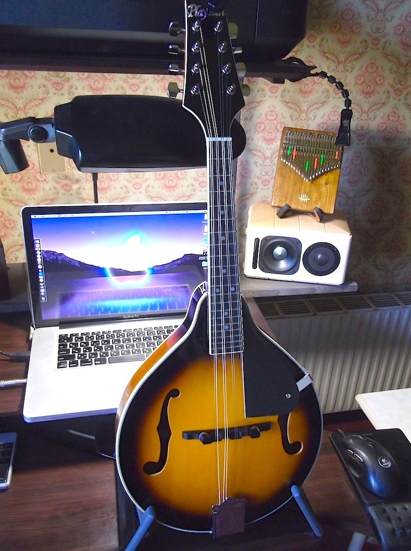 PLAYTECH/フラットマンドリン～レビュー（楽器）: ♪音楽工房『K.A.P』♪