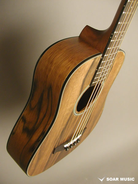 BAB-600M NA アコースティックベース （フレッテッド） (Bacchus)