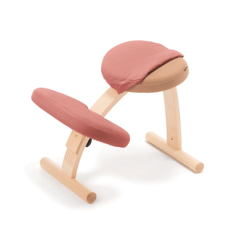 バランスイージー 社外カバー付き 汚れあり バランス イージー専用｜は