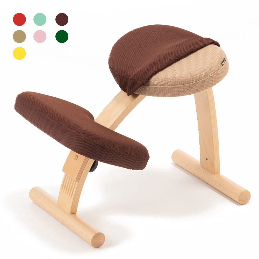 バランスチェア easy イージー リボ rybo バランスイージー サカモト