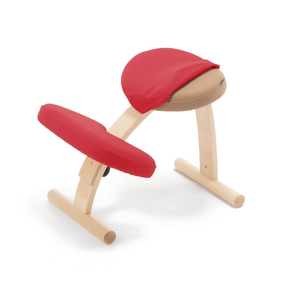 バランスラボ 】バランスイージー カバー付き バランスチェア RYBO