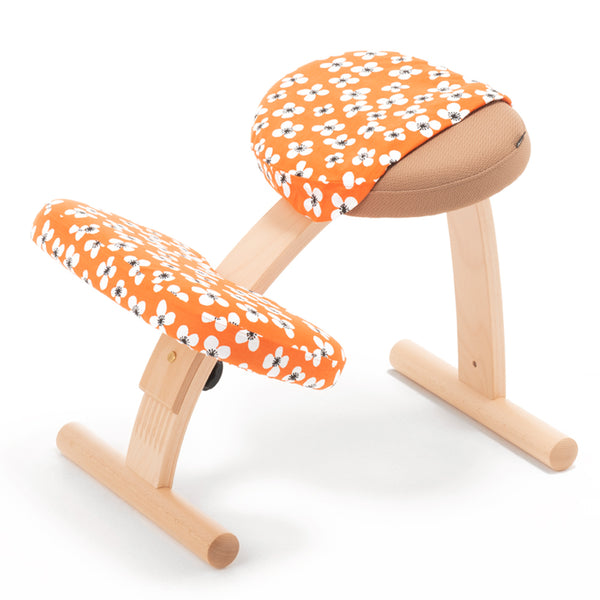 バランスシリーズ オプション – バランスチェアのbalans lab (バランス