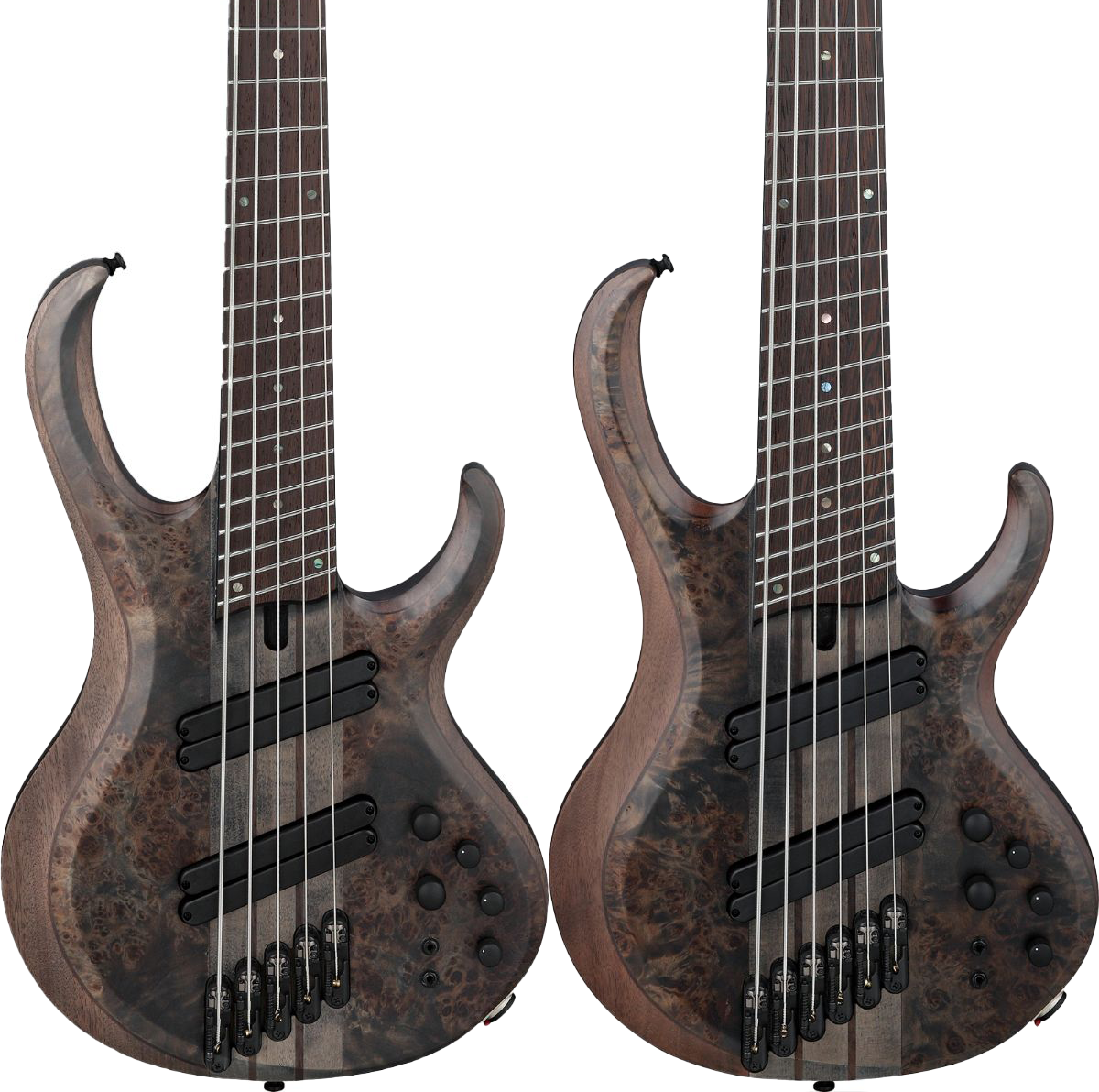 IBANEZ】BTB805／806MS-TGF | ベース・マガジン