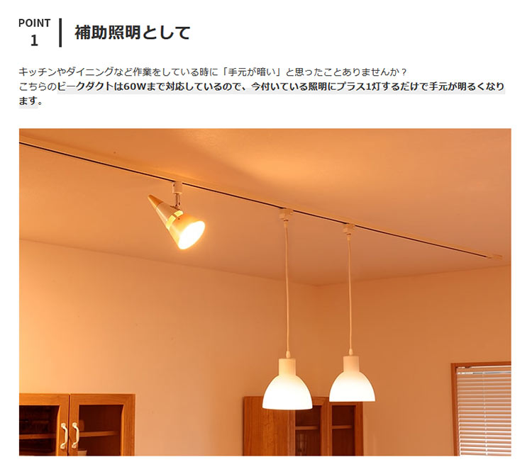 シーリングライト 1灯 ビークダクト ダクトレール用 照明 スポット