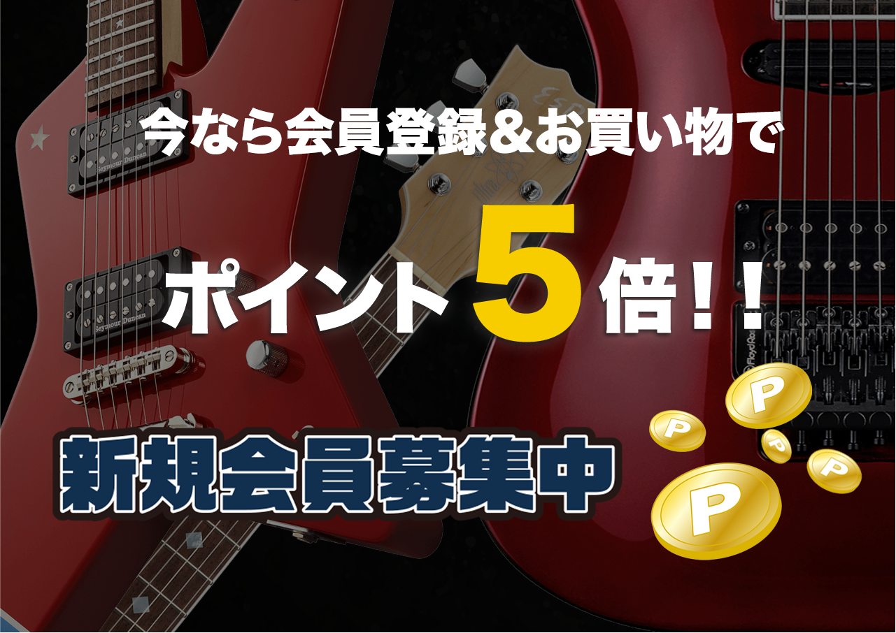 ESP(イーエスピー) EF-100B (ベース用ギグケース) - 【ESP直営